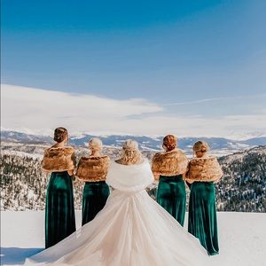 Revelry Court velvet Dress